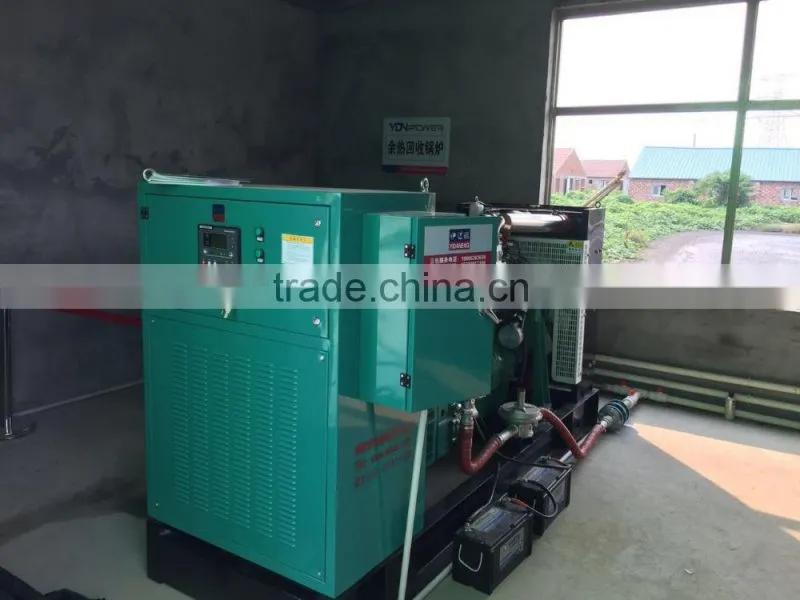 Silent factory natural gas generator from china