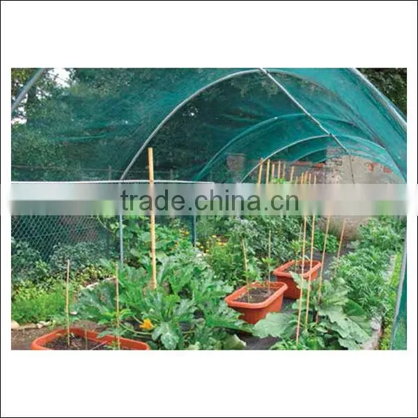 HDPE virgin material orchard anti hail net with uv for agriculture