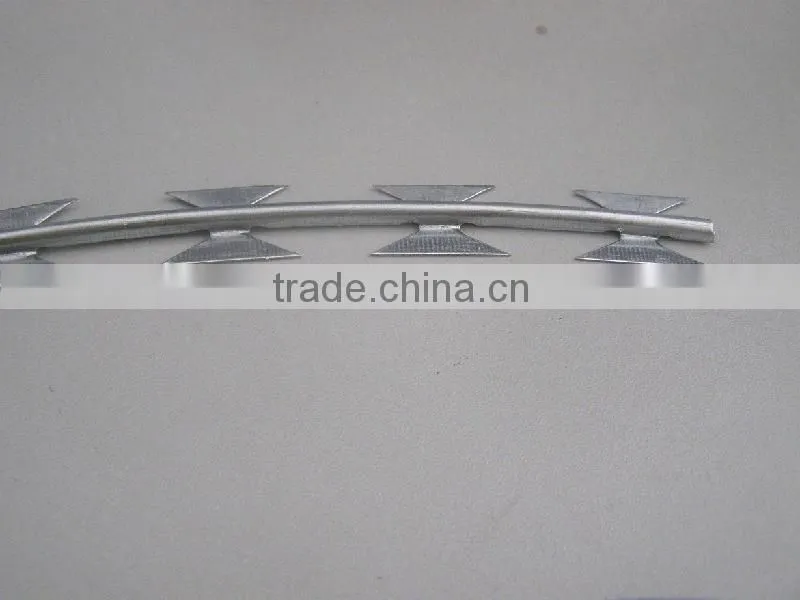 cheap razor barb wire/galvanized razor wire