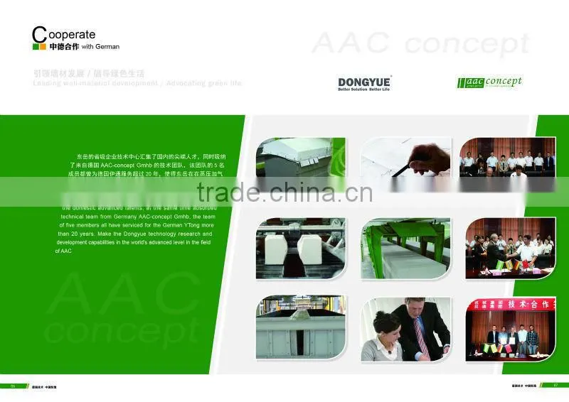AAC plant and germany technology brick Cutting Machine