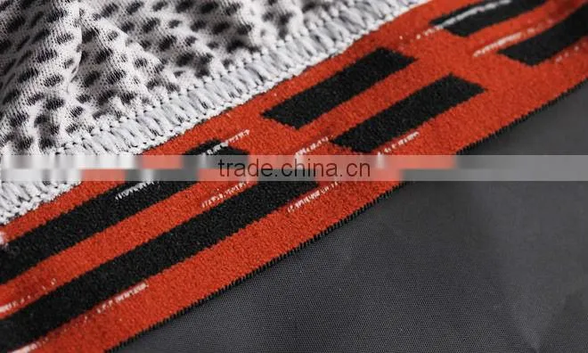 Lance Sobike 2013 Sublimation Short Sleeve cycling shirts