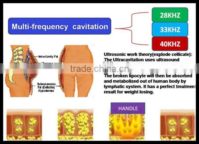 Hot selling and beautiful cavitation machine home