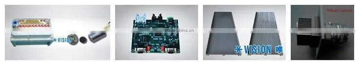 Chain Manufactured CE certificated high quality belt type garlic sorting machine