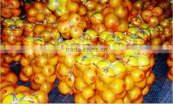 Chinese Fresh honey pomelo low price