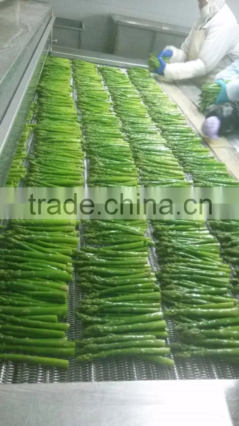 New crop IQF Frozen green asparagus-dia 10-16mm
