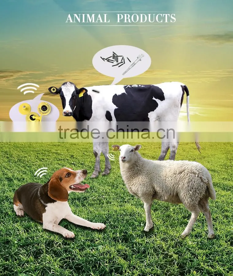 Hot selling pet injector for pet