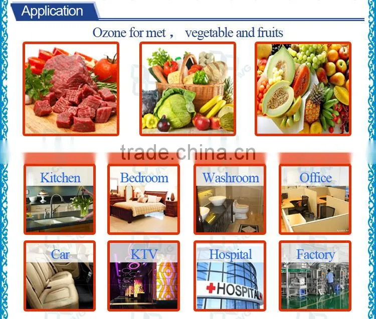China factory price 1g 3g 5g 6g 7g ozone tube / ozone generator cell