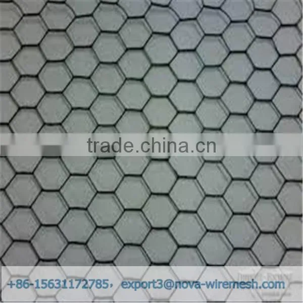 Low cost hexagonal netting /chicken wire mesh/ poultry hexagonal netting for sale