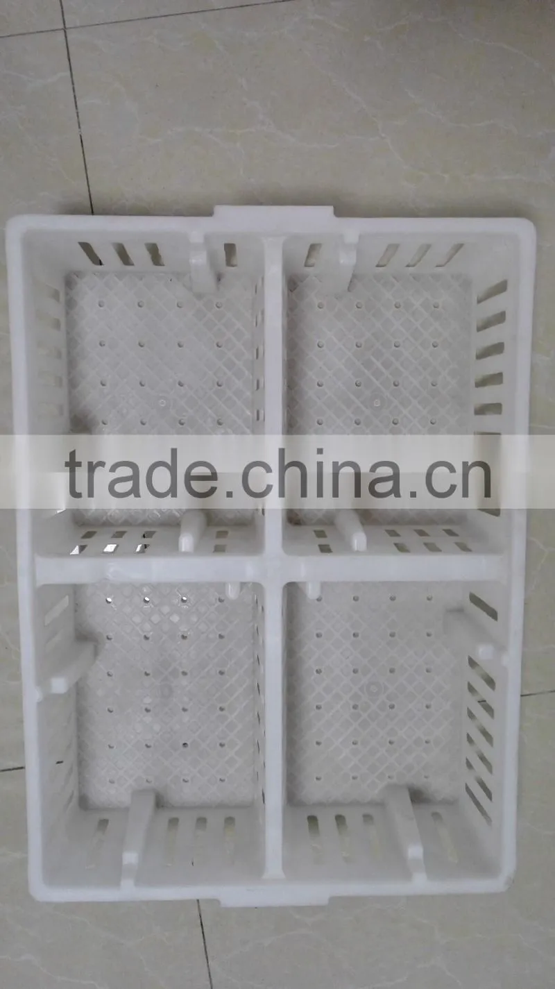 plastic chicken tranport stackable cage/box/crate for child chicken