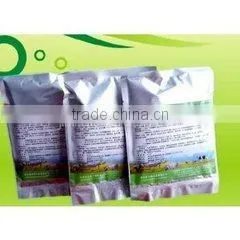auto packing machine
