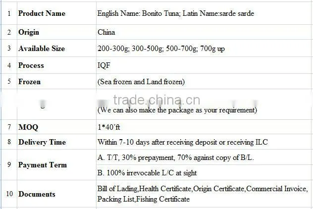 300-500g Frozen bonito tuna fish