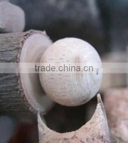 Wooden beads (beads) Tool