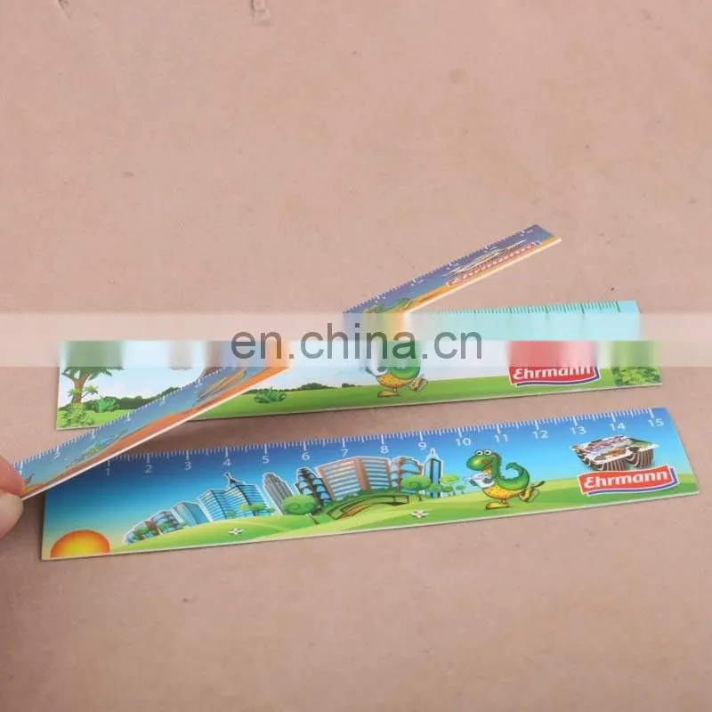 Custom 15cm 30cm PVC PP Flexible Plastic Ruler