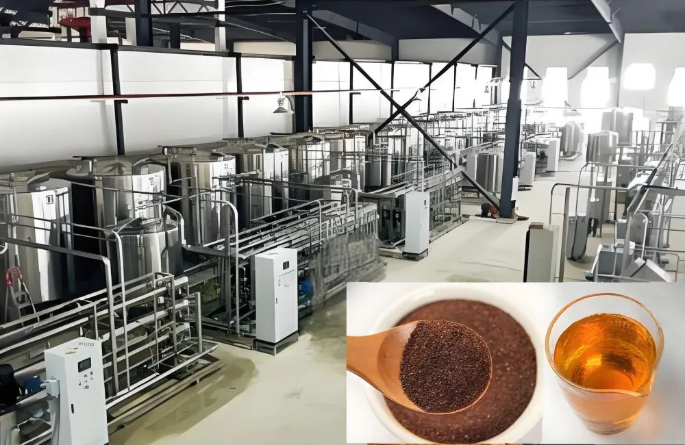 Systèmes de séparation membranaire pour les lignes de production de poudre de thé instantané – Traitement du thé vert à basse température