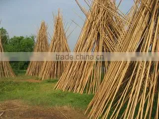Tien Phuong Trading And Manufacturing Co., Ltd company overview - view 1