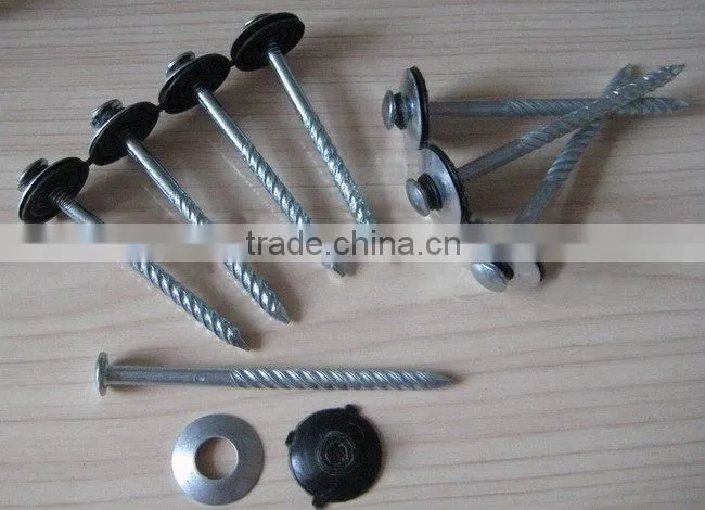 umbrella head roofing nail