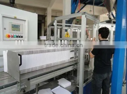 CARTON PACKED WASHING POWDER