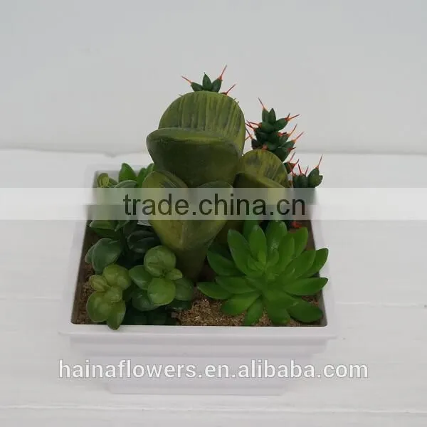 Latest design artificial plants artificial succulent/cactus arrangement wholesale for decorating