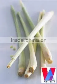 Fresh Lemongrass