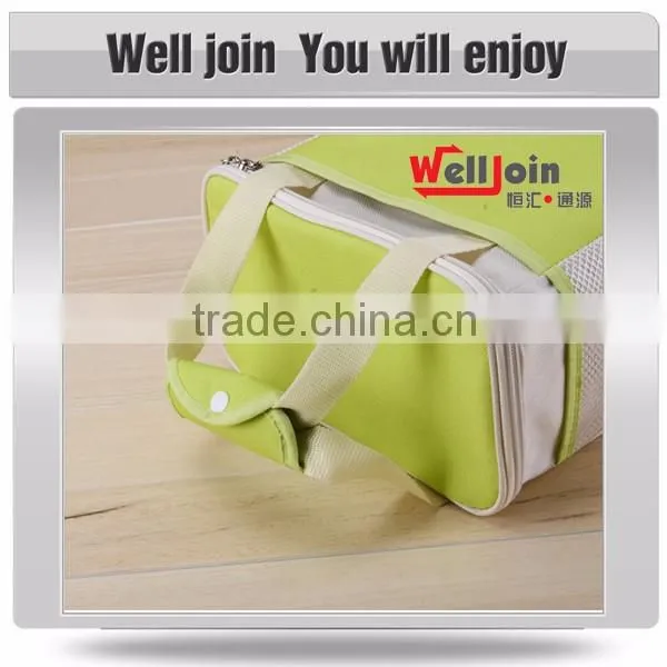 Fashion insulated picnic cooler bag