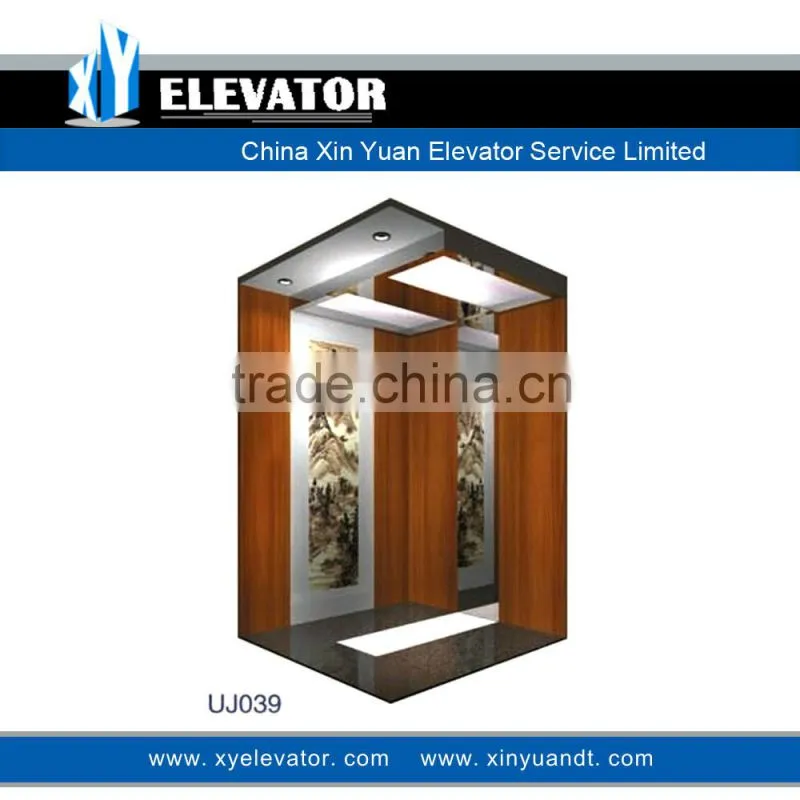 Xinyuan Residential Passenger Home Hotel Elevator/Lift/Cabin China Manufacturer (Chinese Style Art Painting)