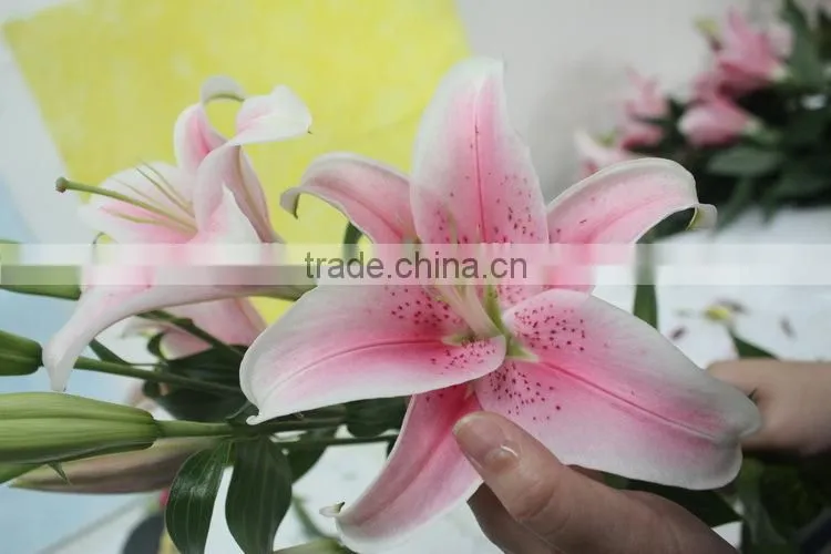 Colorful best selling high quality flowers liliess