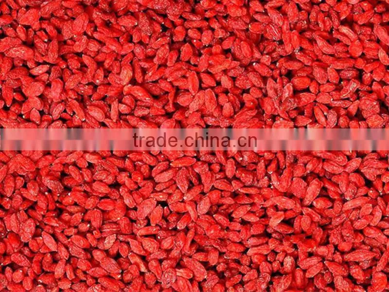Premium Chinese ningxia goji berry natural Qinghai herbs gou qi zi sleep herbs tea dried wolfberry herbal tea