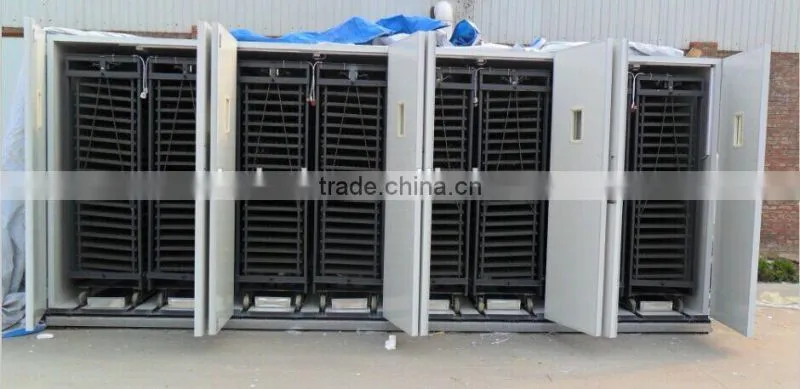 agriculture machinery ostrich egg hatcher digital machine