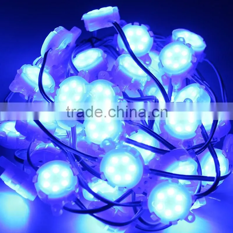 super brightness DC24V 2835SMD single color illuminated led pixel light