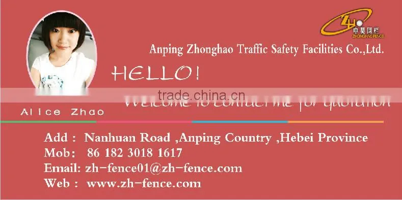 High Secutity Fencing/Galvanized Fecning/Powder Coating Fencing