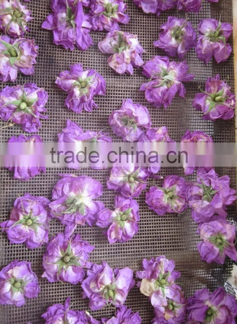 industrial microwave vacuum tomato paste drying machines