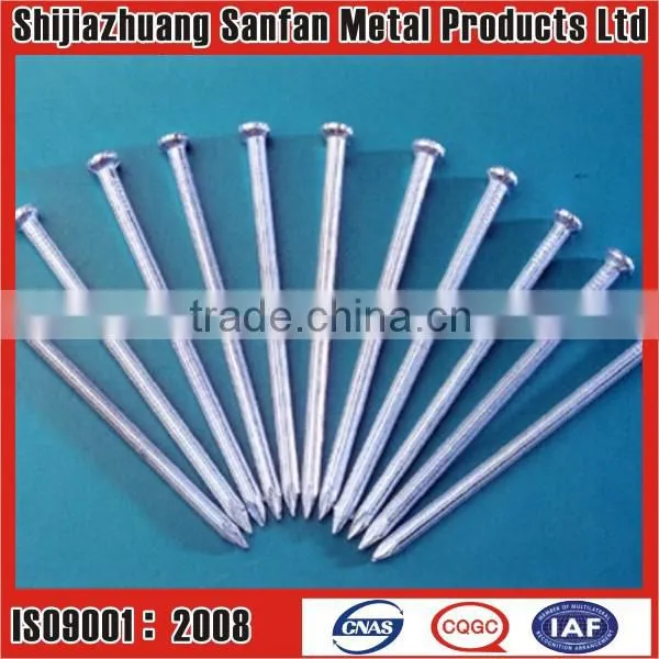Construction Concrete Nail