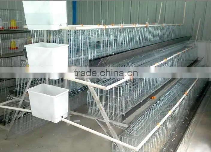 Commerial automatic chicken cage