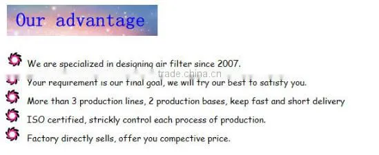 99.99% large dust capacity HEPA Filter