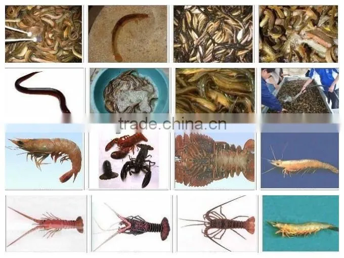 fish meal cooking pressing drying machine line for fish meal and oil fish meal production line