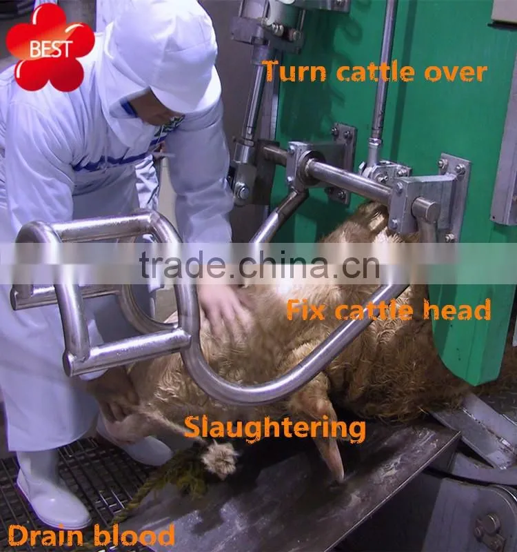 Ritual slaughter Livestock cattle restraint device to process meat