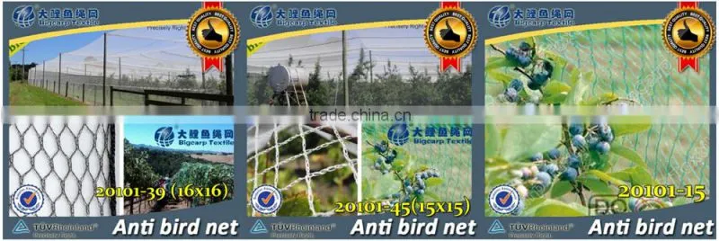 (20 years Shanghai factory) hot selling , New arrival, Orchard HDPE knotted mesh bird netting on grapes , 25 GSM / 20101-25