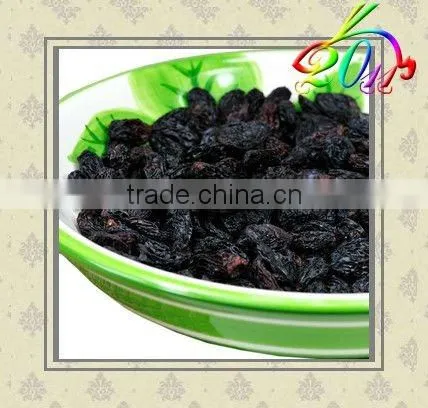 fresh dried black raisin high quality good price