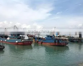 Shishi G-Shield Seafood Technology Co., Ltd. company overview - view 1