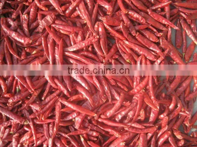 dried red chilli