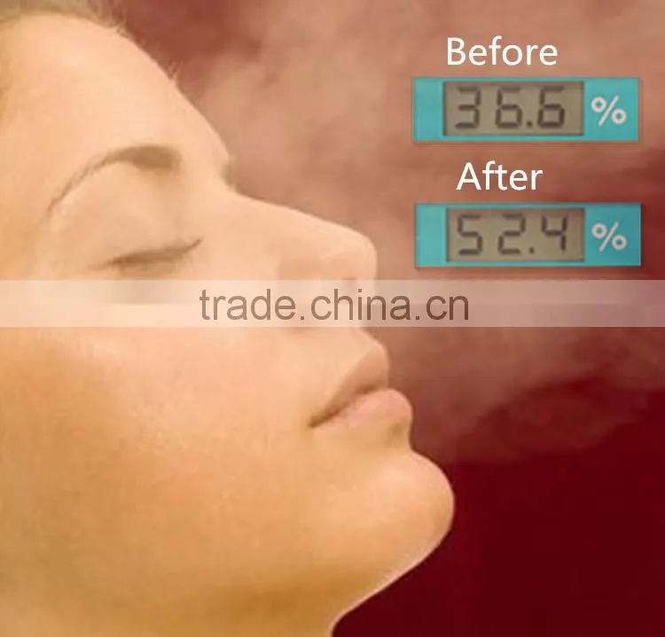 portable facial steamer by PTC heating with nasal mask/Steam facial sauna