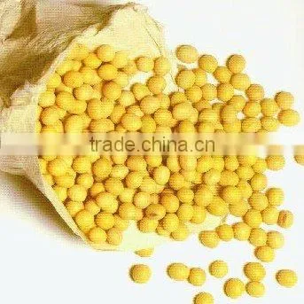 China Non-Gmo soya bean 2010