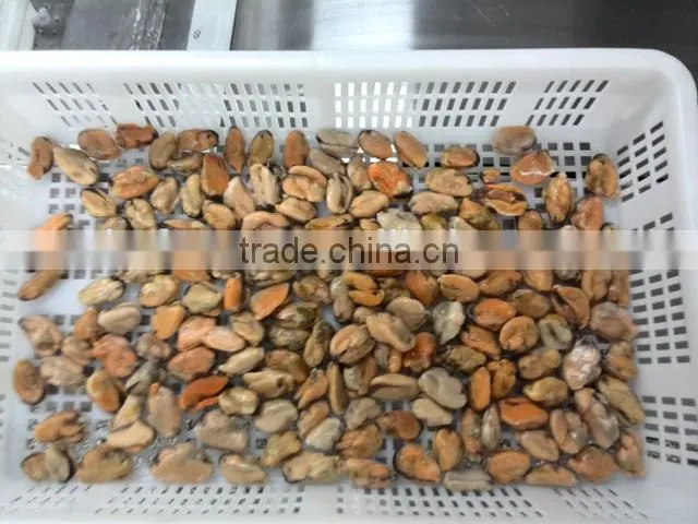 Frozen mussel meat