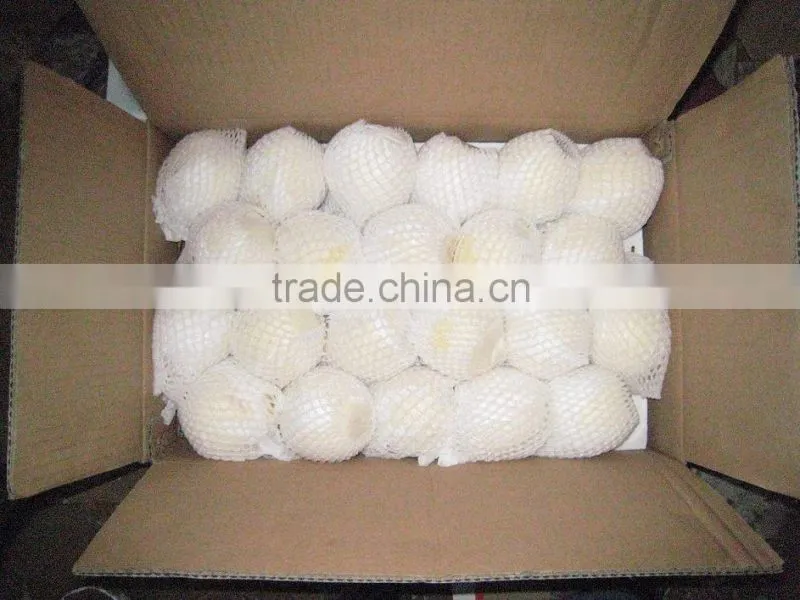 9KG Fresh Golden Pear 40-44 Size