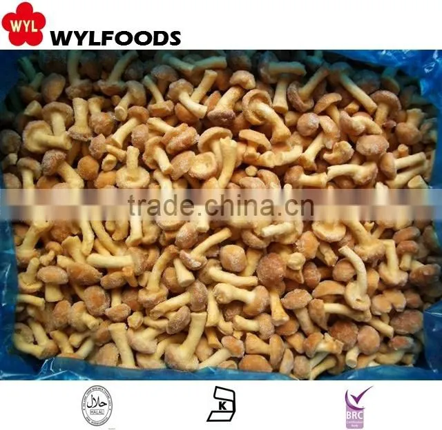 Good price frozen baby oyster mushroom 2016 with Grade A