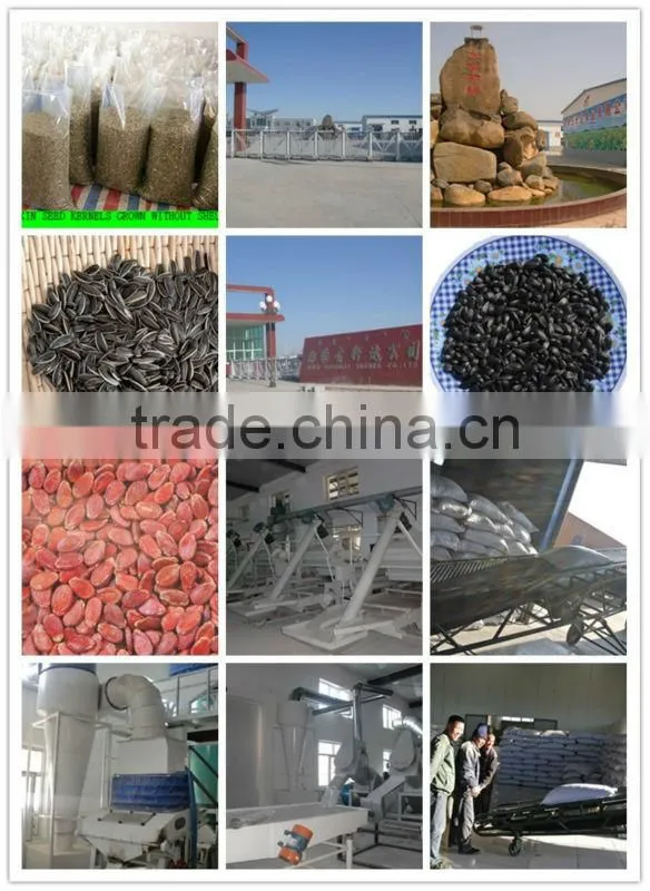 2014 new crop Watermelon seeds Kernels packing in 25kg per bag