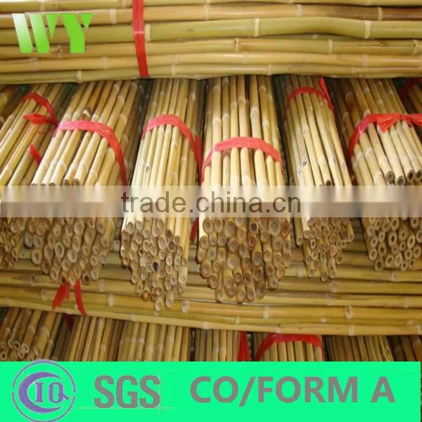 WY-221High quality bamboo poles bamboo canes bamboo stakes in raw materials for agriculture