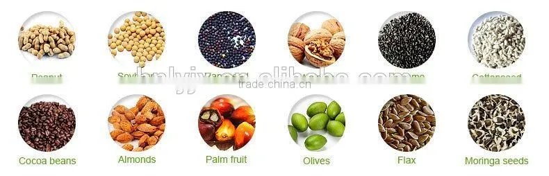 Malaysia customer love cocoa bean hydraulic oil press machine