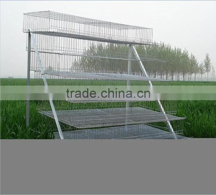 Automatic high essential quail farm cage/quail cage for sale HJ-QC300