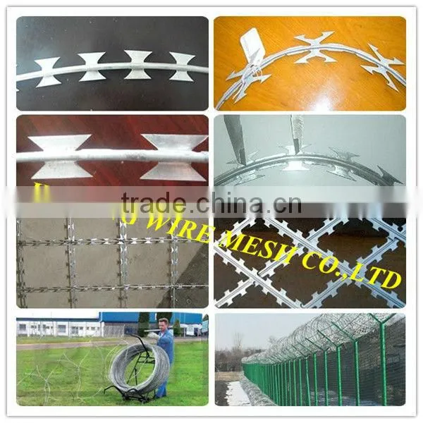 widely used CBT-65 galvanized razor barbed wire on sales have in store